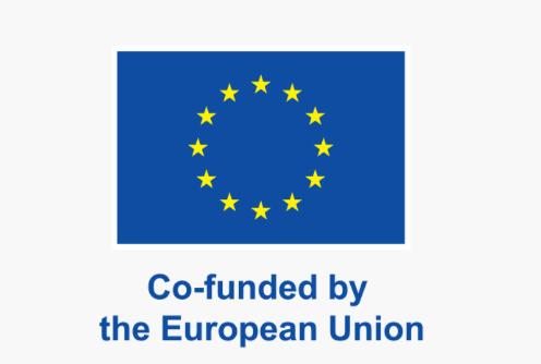 Co-funded by the European Union